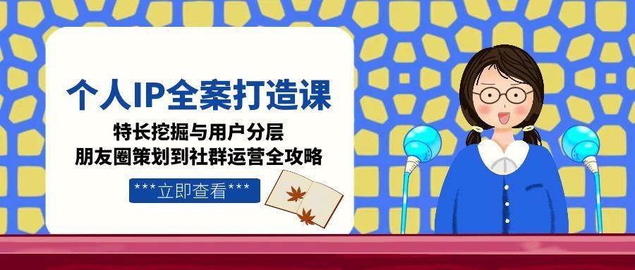 个人IP全案打造课，特长挖掘与用户分层，朋友圈策划到社群运营全攻略-问小徐资源库