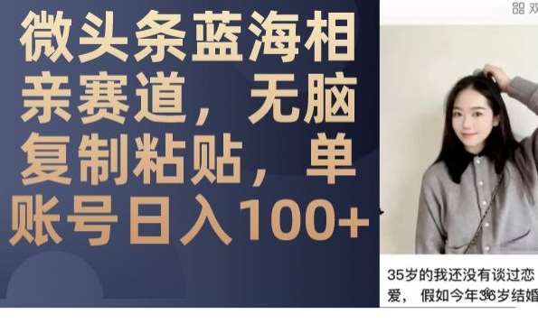 微头条蓝海相亲赛道，无脑复制粘贴，单账号日入100+-问小徐资源库