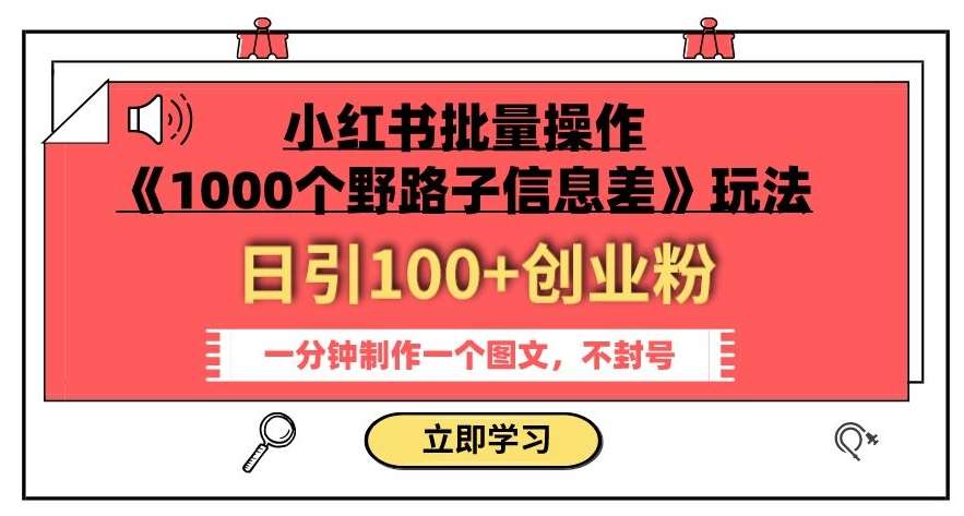 小红书批量操作《1000个野路子信息差》玩法，一分钟制作一个图文，不封号，日引100+创业粉-问小徐资源库