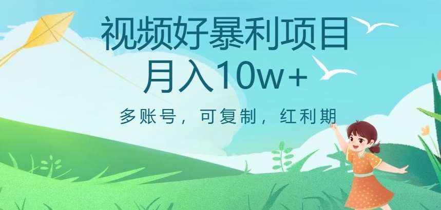 视频号暴利项目，多账号，可复制，红利期，月入10w+【揭秘】-问小徐资源库