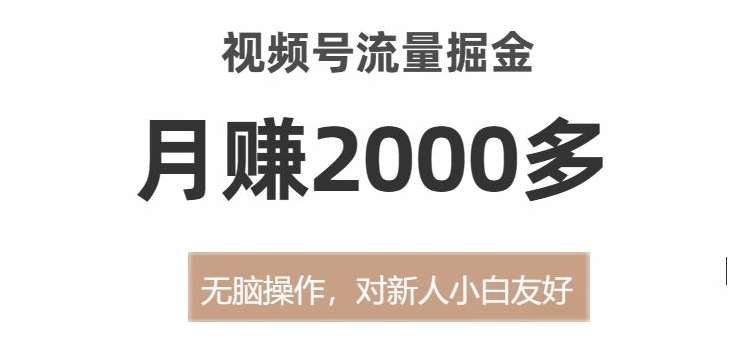 视频号流量掘金，无脑操作，对新人小白友好，月赚2000多【揭秘】-问小徐资源库