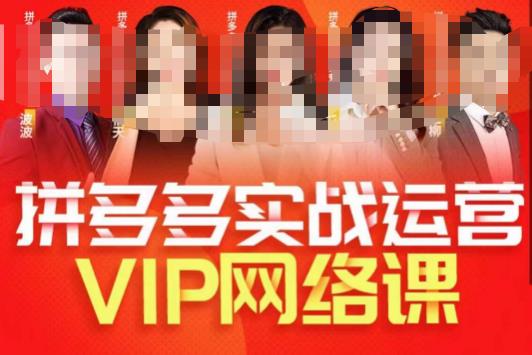推易拼多多VIP全套直播课程，拼多多店铺实操玩法+实战玩法选款内功+直通车高阶等-问小徐资源库
