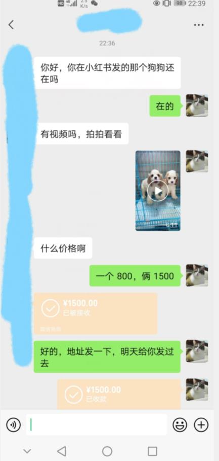 图片[2]-外边收费3980的同城萌宠项目，用最冷门的玩法冲击最热门的市场【揭秘】-问小徐资源库