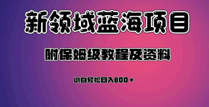 虚拟资源蓝海领域新项目，轻松日入800＋，附保姆级教程及资料-问小徐资源库