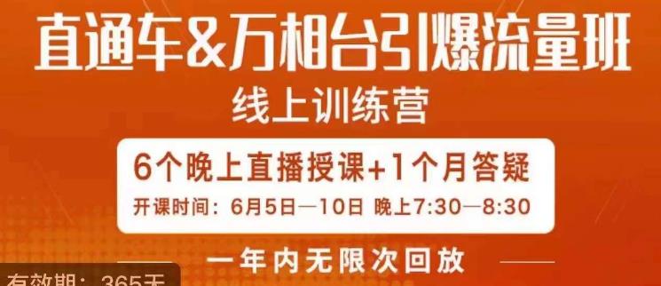 直通车&万相台引爆流量班，6天打通你开直通车·万相台的任督二脉-问小徐资源库