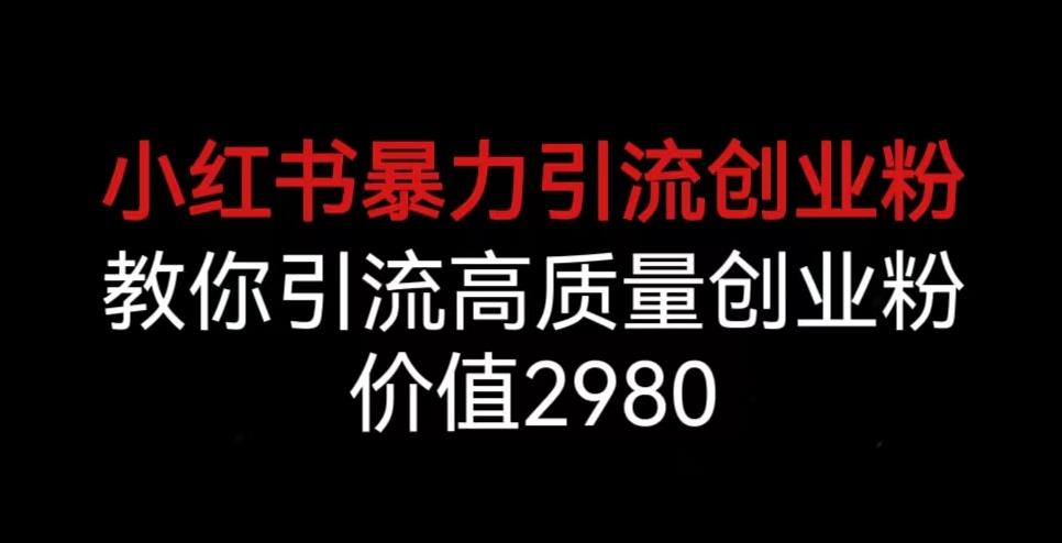 小红书暴力引流创业粉，教你引流高质量创业粉，价值2980【揭秘】-问小徐资源库