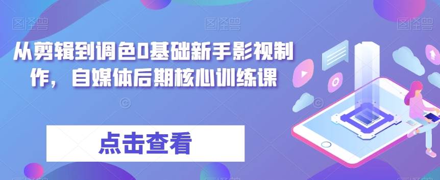从剪辑到调色0基础新手影视制作，自媒体后期核心训练课-问小徐资源库