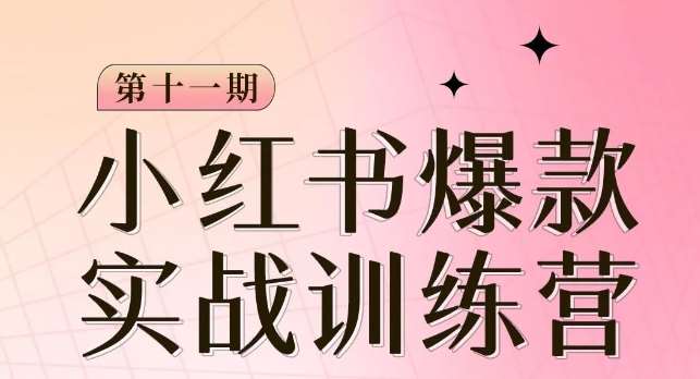 小红书博主爆款训练营第11期，手把手教你从0-1做小红书，从定位到起号到变现-问小徐资源库