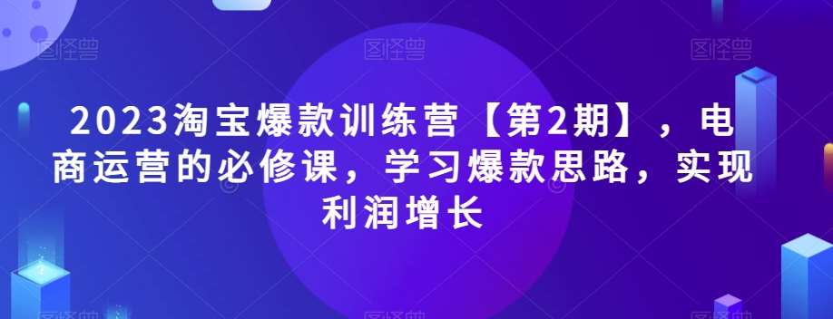 2023淘宝爆款训练营【第2期】，电商运营的必修课，学习爆款思路，实现利润增长-问小徐资源库