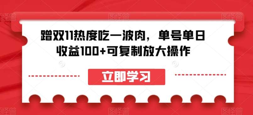 蹭双11热度吃一波肉，单号单日收益100+可复制放大操作【揭秘】-问小徐资源库