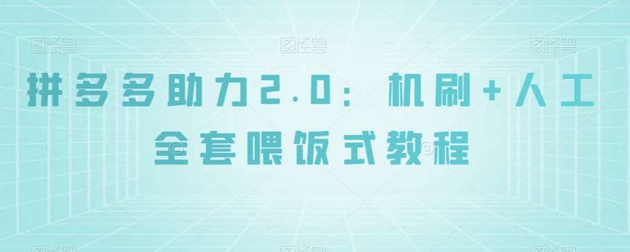 拼多多助力2.0：机刷+人工全套喂饭式教程【揭秘】-问小徐资源库
