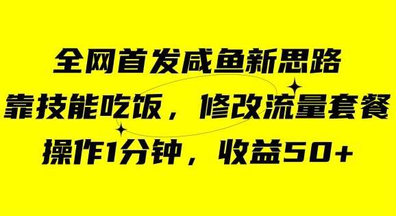 咸鱼冷门新玩法，靠“技能吃饭”，修改流量套餐，操作1分钟，收益50【揭秘】-问小徐资源库