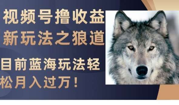 视频号撸收益新玩法之狼道，目前蓝海玩法，轻松月入过万【揭秘】-问小徐资源库