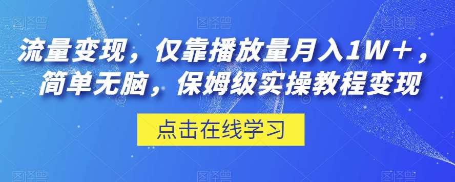 流量变现，仅靠播放量月入1W＋，简单无脑，保姆级实操教程【揭秘】-问小徐资源库