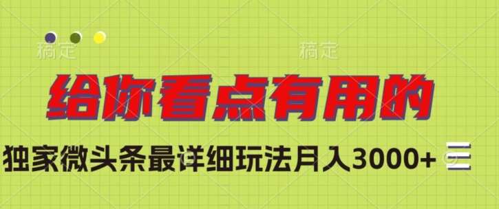 独家微头条最详细玩法，月入3000+【揭秘】-问小徐资源库