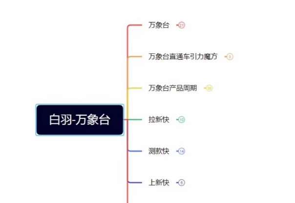白羽·直引万搜索全篇，从0-1，多个类目实操经验总结付费-问小徐资源库