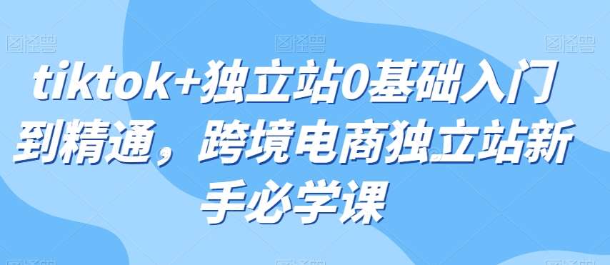 tiktok+独立站0基础入门到精通，跨境电商独立站新手必学课-问小徐资源库
