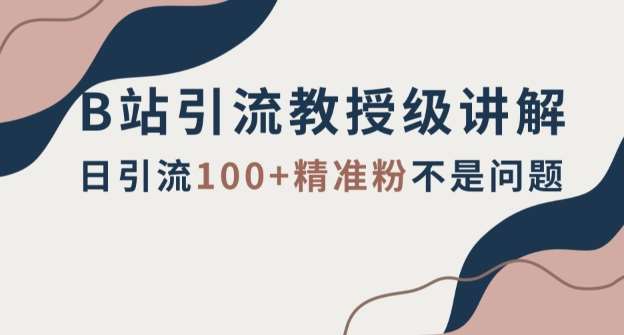 B站引流教授级讲解，细节满满，日引流100+精准粉不是问题【揭秘】-问小徐资源库