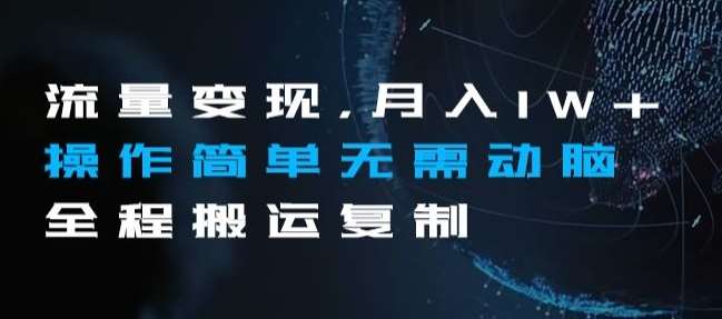 流量变现，月入1W+操作简单无需动脑全程搬运复制【揭秘】-问小徐资源库