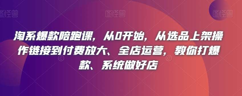 淘系爆款陪跑课，从0开始，从选品上架操作链接到付费放大、全店运营，教你打爆款、系统做好店-问小徐资源库
