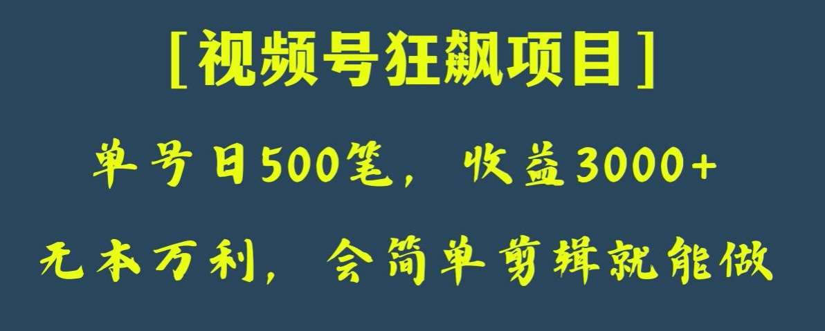 日收款500笔，纯利润3000+，视频号狂飙项目，会简单剪辑就能做【揭秘】-问小徐资源库