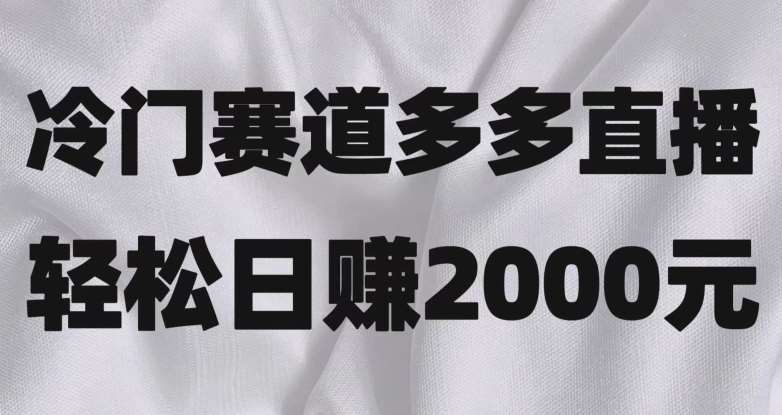 冷门赛道拼多多直播，简单念稿子，日收益2000＋【揭秘】-问小徐资源库