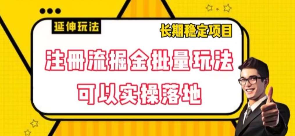 注册流掘金批量玩法，可以实操落地【揭秘】-问小徐资源库
