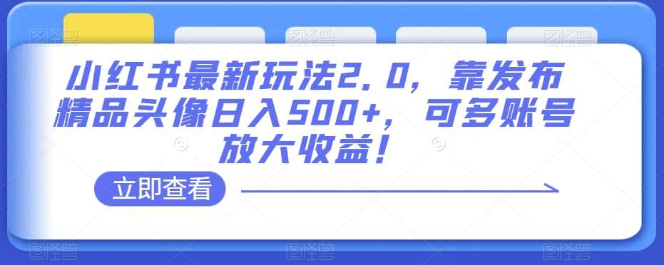 小红书最新玩法2.0，靠发布精品头像日入500+，可多账号放大收益！【揭秘】-问小徐资源库