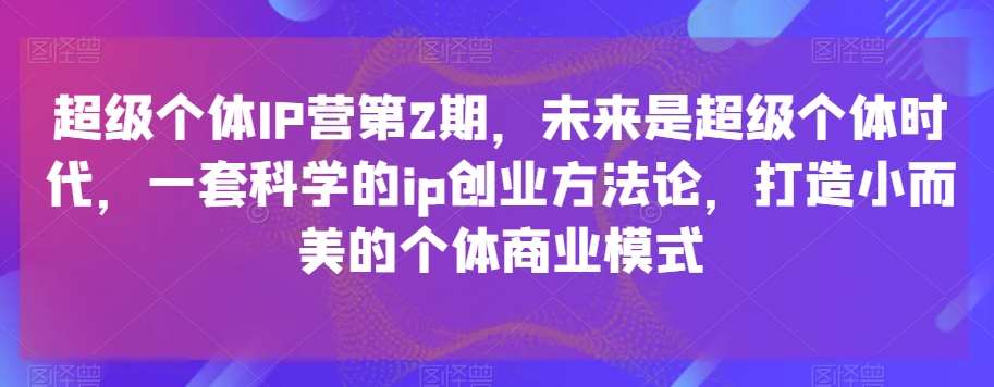 超级个体IP营第2期，未来是超级个体时代，一套科学的ip创业方法论，打造小而美的个体商业模式-问小徐资源库