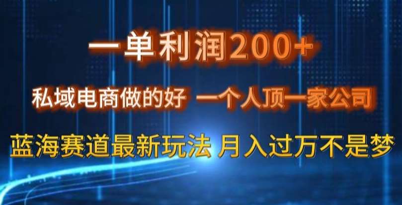 一单利润200私域电商做的好，一个人顶一家公司蓝海赛道最新玩法【揭秘】-问小徐资源库