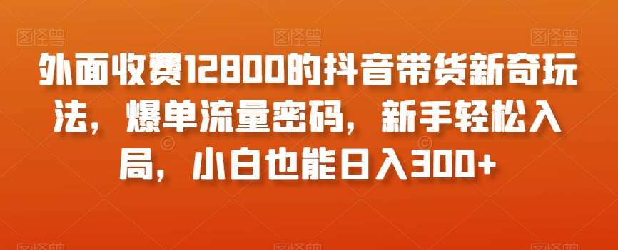 外面收费12800的抖音带货新奇玩法，爆单流量密码，新手轻松入局，小白也能日入300+【揭秘】-问小徐资源库