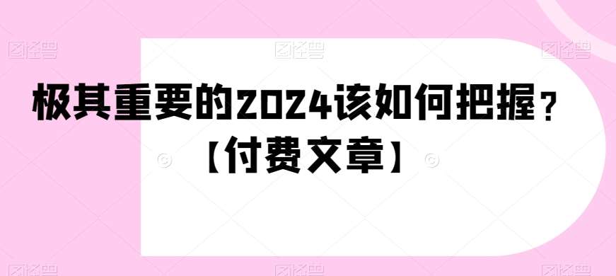 极其重要的2024该如何把握？【付费文章】-问小徐资源库