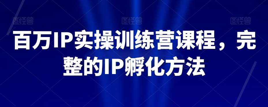 百万IP实操训练营课程，完整的IP孵化方法-问小徐资源库