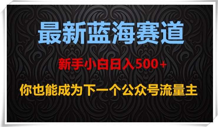 最新蓝海赛道，新手小白日入500+，你也能成为下一个公众号流量主【揭秘】-问小徐资源库