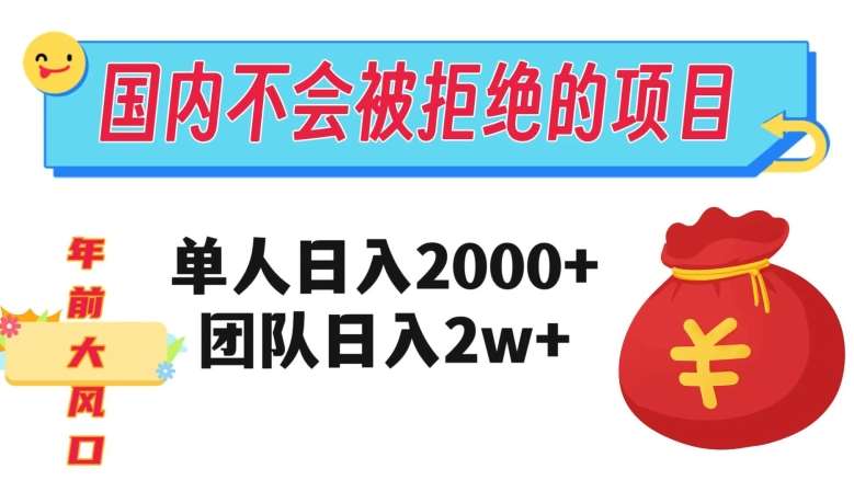 在国内不怕被拒绝的项目，单人日入2000，团队日入20000+【揭秘】-问小徐资源库