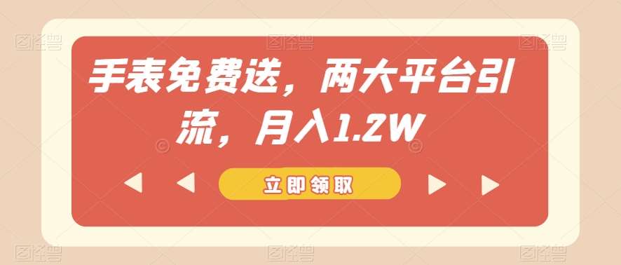 手表免费送，两大平台引流，月入1.2W【揭秘】-问小徐资源库