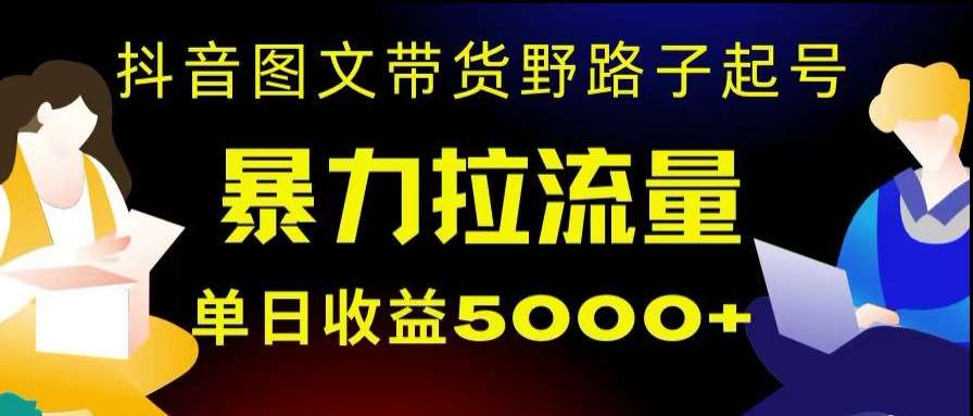 抖音图文带货暴力起号，单日收益5000+，野路子玩法，简单易上手，一部手机即可【揭秘】-问小徐资源库