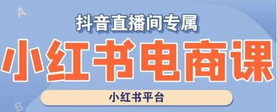 小红书电商高级运营课程，实操教学+案例分析-问小徐资源库