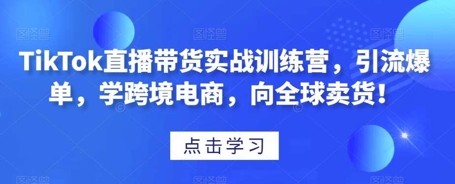 TikTok直播带货实战训练营，引流爆单，学跨境电商，向全球卖货！-问小徐资源库