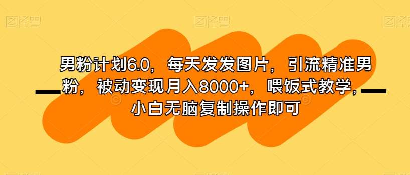 男粉计划6.0，每天发发图片，引流精准男粉，被动变现月入8000+，喂饭式教学，小白无脑复制操作即可-问小徐资源库