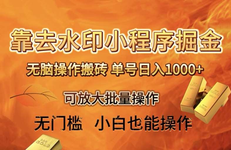 靠去水印小程序无脑操作搬砖，单号日入1000+保姆级教程可放大批量操作【揭秘】-问小徐资源库