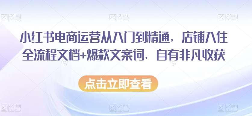 小红书电商运营从入门到精通，店铺入住全流程文档+爆款文案词，自有非凡收获-问小徐资源库