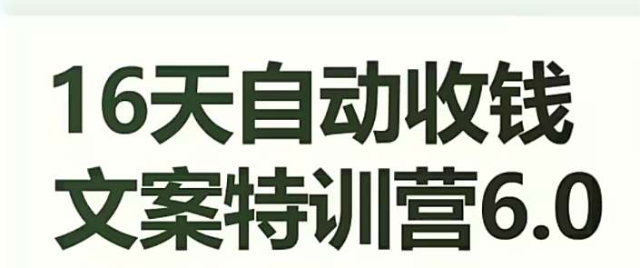 16天自动收钱文案特训营6.0，学会儿每天自动咔咔收钱-问小徐资源库