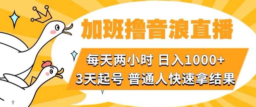 加班撸音浪直播，每天两小时，日入1000+，直播话术才3句，3天起号，普通人快速拿结果【揭秘】-问小徐资源库
