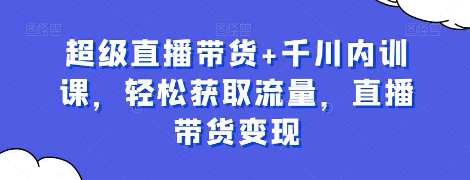 超级直播带货+千川内训课，轻松获取流量，直播带货变现-问小徐资源库