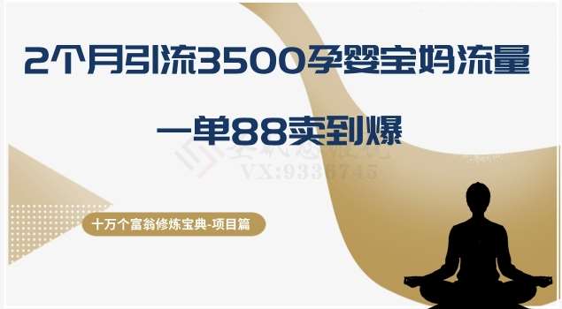 十万个富翁修炼宝典之13.2个月引流3500孕婴宝妈流量，一单88卖到爆-问小徐资源库