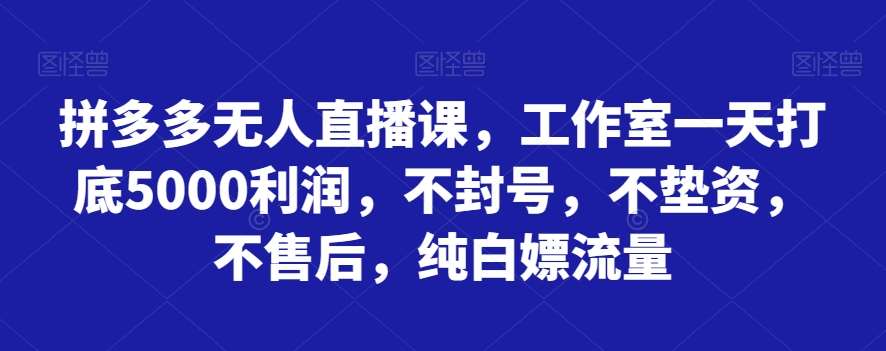 拼多多无人直播课，工作室一天打底5000利润，不封号，不垫资，不售后，纯白嫖流量-问小徐资源库