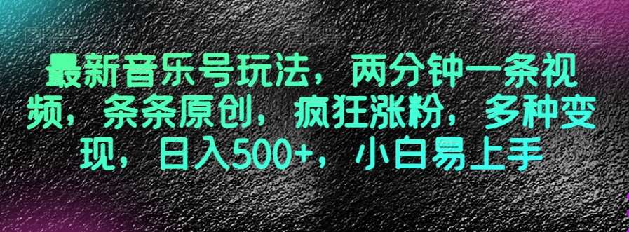 最新音乐号玩法，两分钟一条视频，条条原创，疯狂涨粉，多种变现，日入500+，小白易上手【揭秘】-问小徐资源库