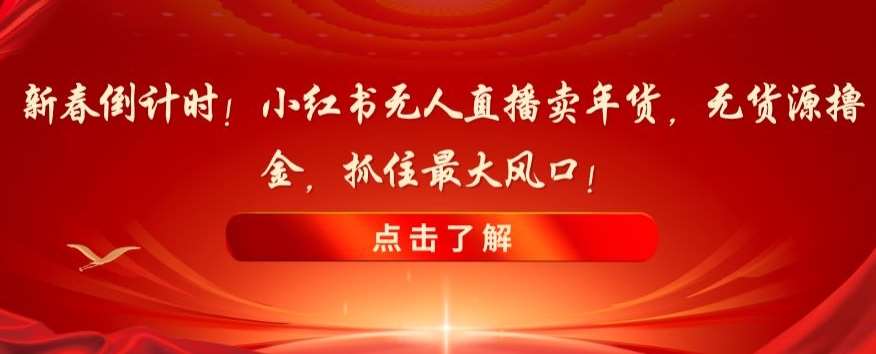 新春倒计时！小红书无人直播卖年货，无货源撸金，抓住最大风口【揭秘】-问小徐资源库