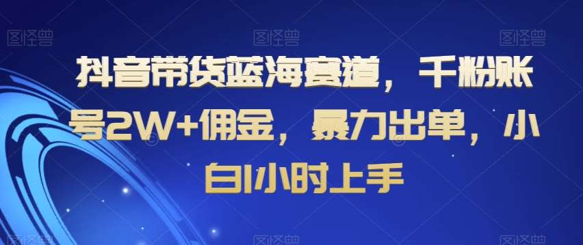 抖音带货蓝海赛道，千粉账号2W+佣金，暴力出单，小白1小时上手【揭秘】-问小徐资源库
